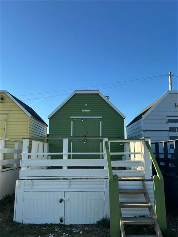 Quirky Birds / Hut 26