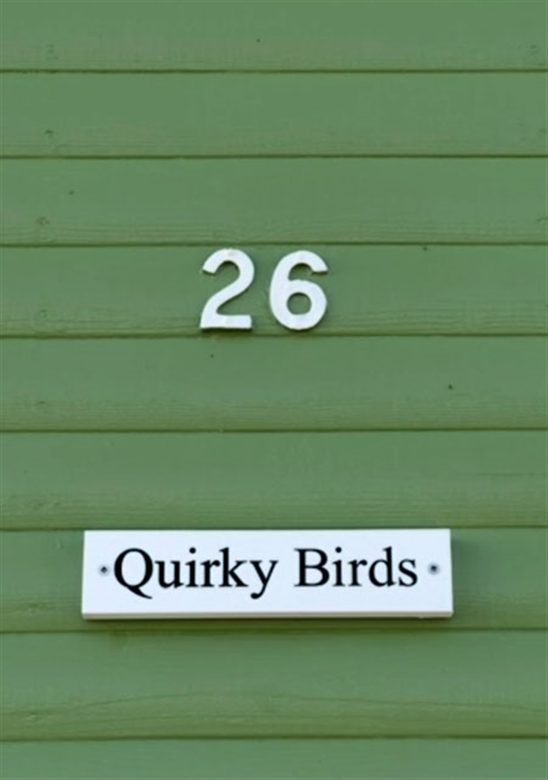 Quirky Birds / Hut 26